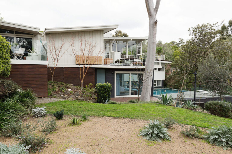 Making your garden termite unfriendly copy