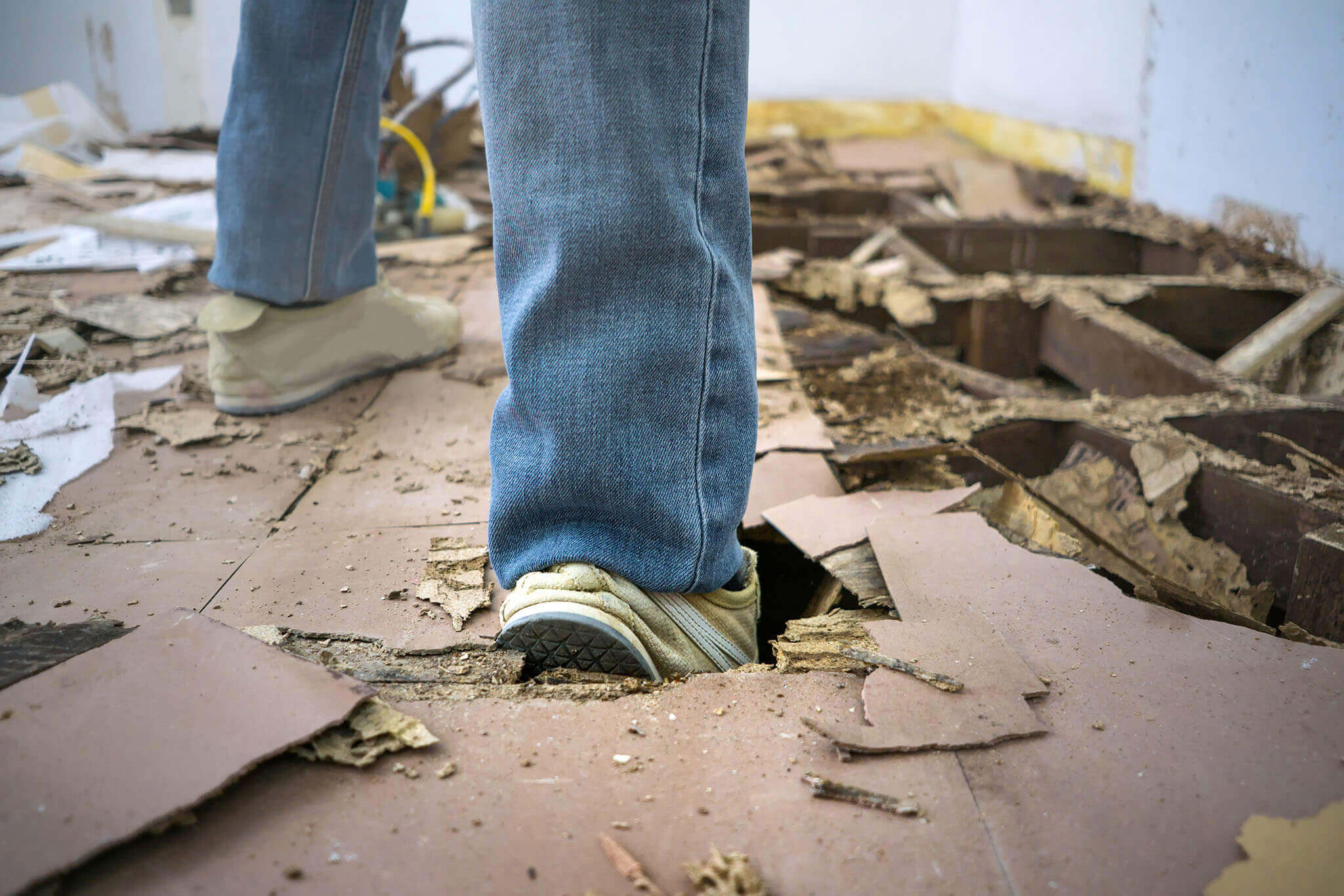 Telltale signs of termites