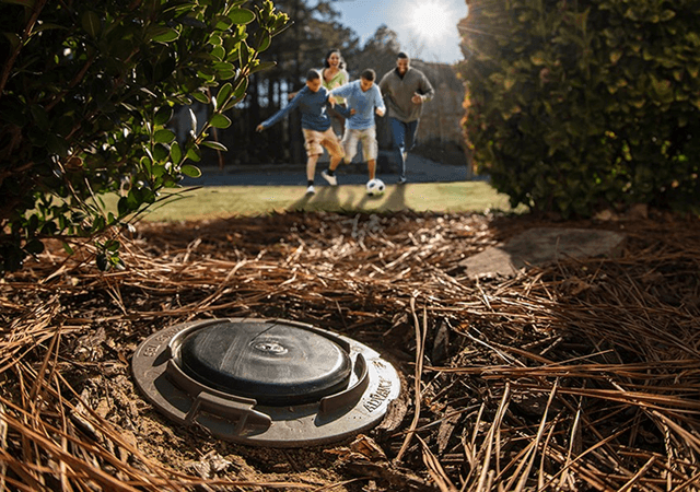 BASF Rapid Recovery